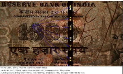 Figure 7: Paper currency note Rs.1000 giving fluorescent by security thread in 365nm UV light