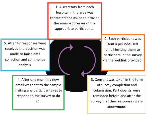 Figure 1. Study outline.