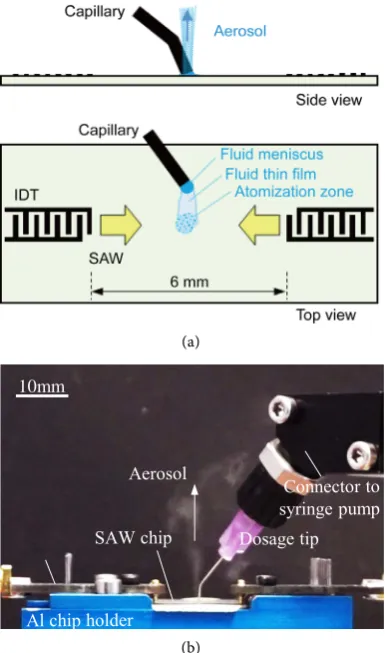 Figure 1. sSAW atomization setup. (a) Sketch; (b) Side view on ato-mization of a highly viscous aqueous glycerol solution (85% glycerol)