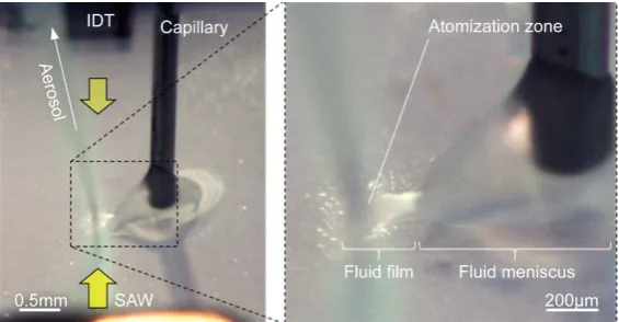 Figure 2. Tilted view on chip surface during atomization: overview and inset showing the atomization zone with fluid meniscus, fluid film and aerosol stream
