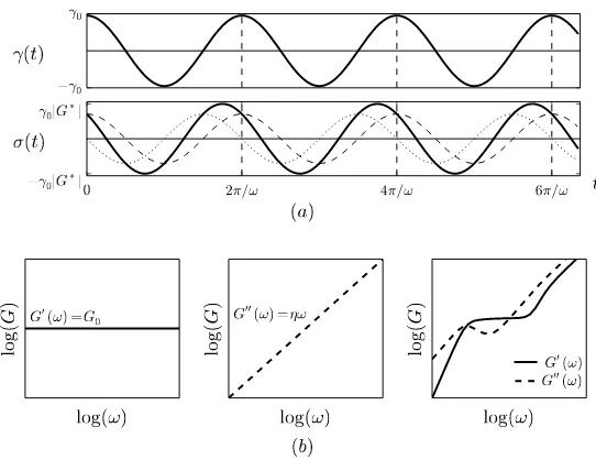Fig. 3 (a) Example of an applied oscillatory shear strain γ(t) = γ0 cosωt and the induced shearstress σ(t), which can be decomposed into the in-phase contribution γ0G′(ω)cosωt (dashed line)and the out-of-phase contribution −γ0G′′(ω)sinωt (dotted line)