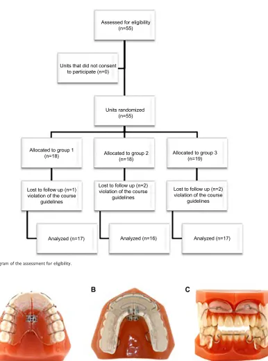 Figure 1 Flow diagram of the assessment for eligibility.