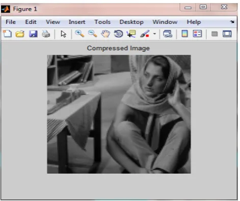 Figure 1: Compressed Image  