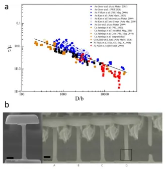 Figure 1.1 Size effect in materials. (a) Shear flow stress 