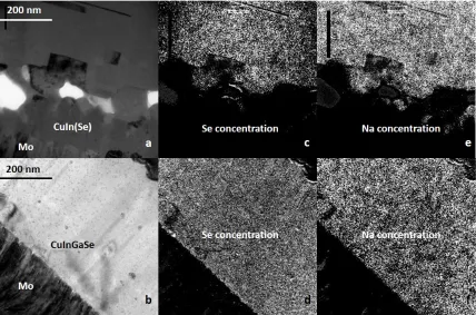 Figure 3.5 TEM and EELS analysis of selenized and co-evaporated CI(G)S films. Bright field TEM image of (a) selenized and (b) co-evaporated films; Se concentration of (c) selenized and (d) co-evaporated films; and Na concentration of (e) selenized and (f) 