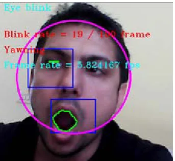 Fig. 2  Eye Blinking  and Yawning Detection 