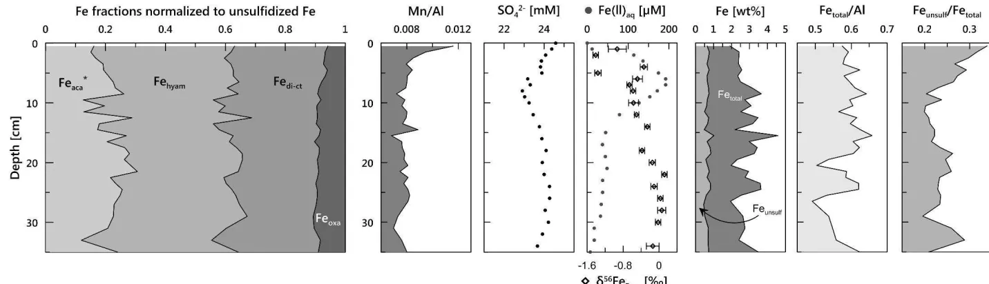 Fig. 4: Chemical data to site HE337-1 including sequentially leached Fe fractions normalized to unsulfidized reactive Fe (Feunsulf = Feaca* + Fehyam + Fedi-ct + Feoxa), 
