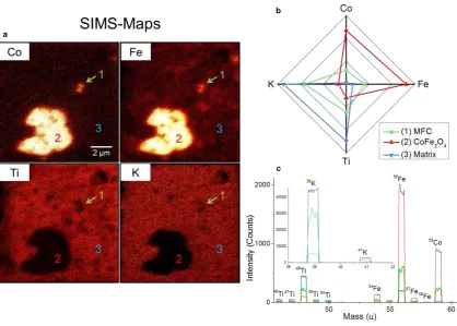 Figure 3. Secondary ion mass spectrometry (SIMS). a, Maps of elemental distribution according to labels showing multiferroic cluster (MFC, 1), CoFe2O4 secondary phase particle (2) and matrix (3)