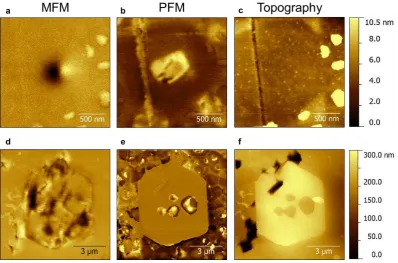 Figure 2. MFM and PFM images of a multiferroic cluster (top) and of a CoFe2O4 impurity phase particle (bottom)