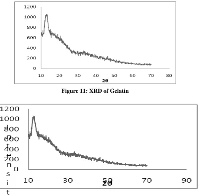 Figure 13: Bacillus subtilis       