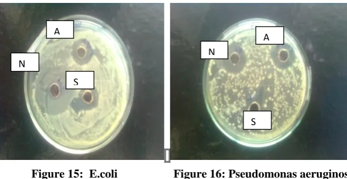 Table 1: Solutions used during preliminary screening of polymer. The data represented is 