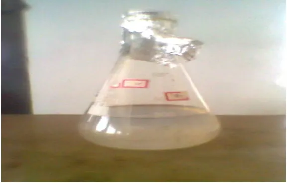 Figure 1   (Before autoclaving) 
