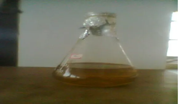 Figure 2 (After autoclaving) 