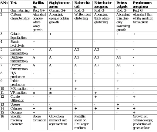 Table 1: Identification of bacteria