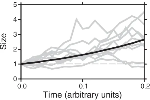 Fig 7. Evolution of bedforms including randomness through time. The evolution of sizes of tenillustrative bedforms including randomness in their growth through time (grey lines)