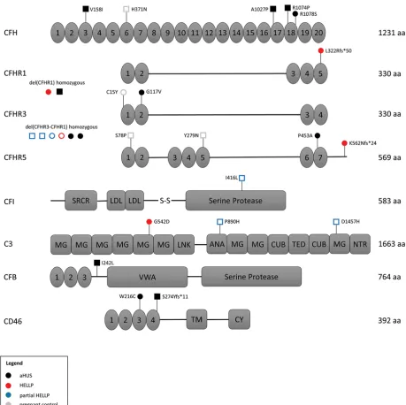 Figure 2. Correlation of germline variants in complement proteins with functional testing