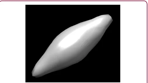 Figure 3: Density of single particle of nanorice of size approximately 50 A recovers from an illuminated area of approximately 1000 A squares from 8000 two particles simulated diffraction patterns including noise and interparticle interference.