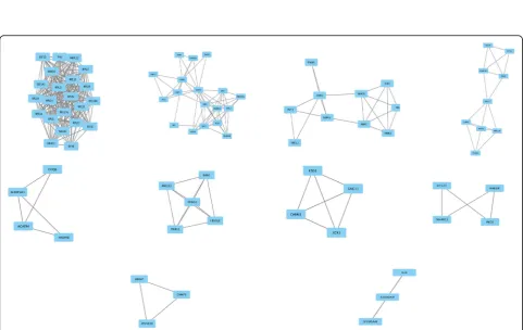 Fig. 3 The distribution of core genes in the interaction network. The black node means the core gene