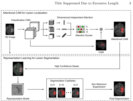 Fig. 1. The overview of the proposed weakly supervised lesion segmentation approach.