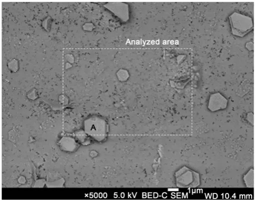 Figure 2. SEM image of press-cured cement paste. 