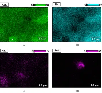 Figure 4. Distribution of some elements on cement paste. (a) Mapping of Ca; (a) Mapping of Ca; (c) Mapping of Al; (d) Mapping of Fe
