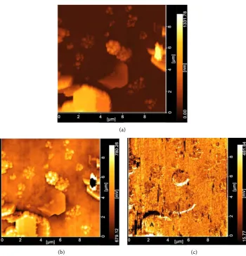 Figure 5. Surface shape scanned by SPM. 