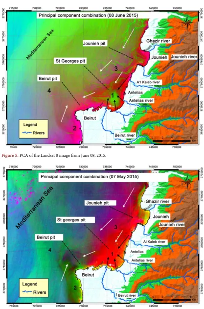 Figure 5. PCA of the Landsat 8 image from June 08, 2015. 