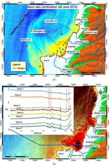 Figure 7. curves of Landsat 8 bands 1 through 7 generated along the cross-section identified (a) Band ratio image of the Landsat 8 image from June 08, 2015; (b) spectral by the blue line
