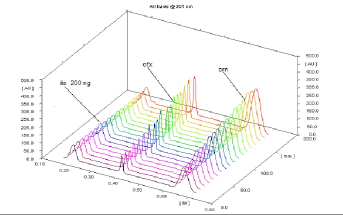 Fig 5 :Standard 3D display of standard CFX and ORN With internal std ITO. 