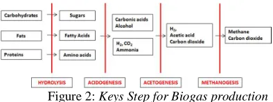 Figure 2: Keys Step for Biogas production 