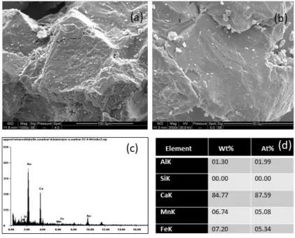 Figure 9. EDS spectra of fresh marble (marble used in conservation) 