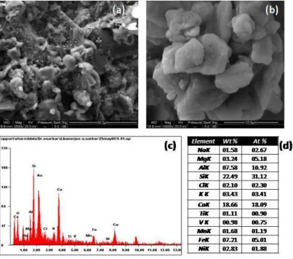 Figure 11. SEM and EDS spectra of composite airborne dust 