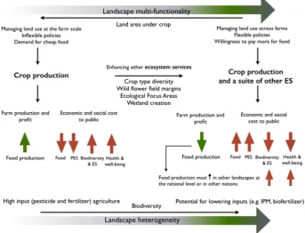Fig. 1. Landscape multifunctionality can increase with landscape heterogeneity as there is a move from crop production at the expense of ecosystem services and biodiversity (left side ofthe chart), to a production that enhances it though the use of green i