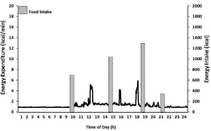 Figure 2: Physical activity energy expenditure (kcal/min) and food intake over a 24-h period