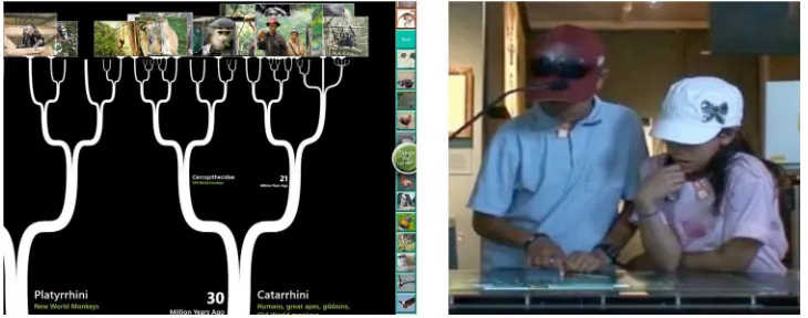 Figure 1.Screenshot from DeepTree (left). A dyad interacting with DeepTree on a multitouch tabletop display at anatural history museum (right)