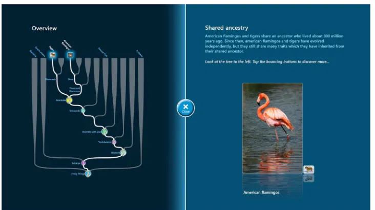 Figure 3.Screenshot from the FloTree interactive (left) and a dyad interacting with FloTree at anatural history museum(right).[Colorﬁgurecan beviewedintheonlineissue,whichisavailableat wileyonlinelibrary.com].