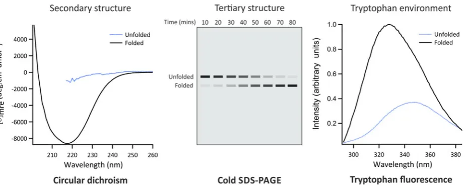 Figure 3‘Classic’ methods of interrogating protein folding