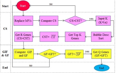 Figure 2.  The flowchart of gene force (GF) algorithm  