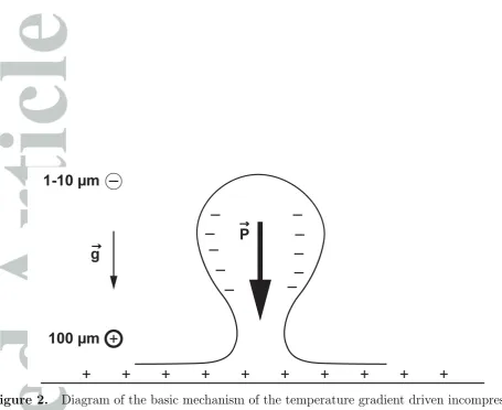 Figure 2.Diagram of the basic mechanism of the temperature gradient driven incompressiblevertical toroidal vortex structure for the dust devil