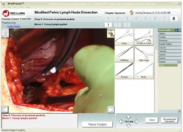 Figure 1 View of SimPraxis® pelvic lymph node dissection screen.Note: Copyright © 2003-2004