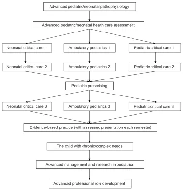 Figure 1 Flowchart summarizing the three training pathways: neonatal critical care, ambulatory pediatrics and pediatric critical care, and how they integrate with the common modules (central core).