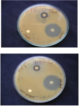 Fig 1. Anti-microbial activity of compound A&B 