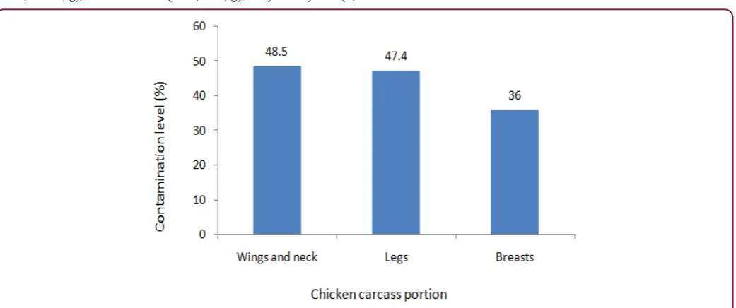 Figure 1: Frequencies of contamination of Different Portions of Broiler Thermophilic Carcasses with Campylobacter.