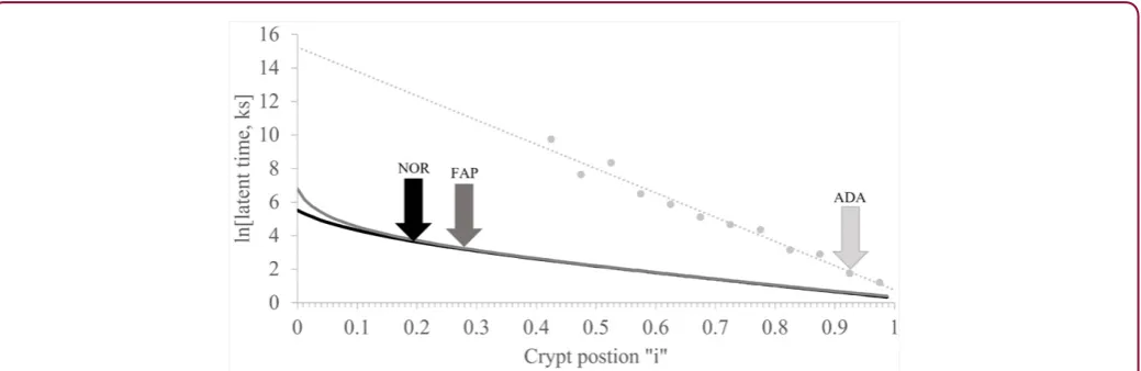 Figure 1: Latent time profiles of normal (NOR), familial adenomatous polyposis (FAP) and adenomatous (ADA) colon crypts are shown