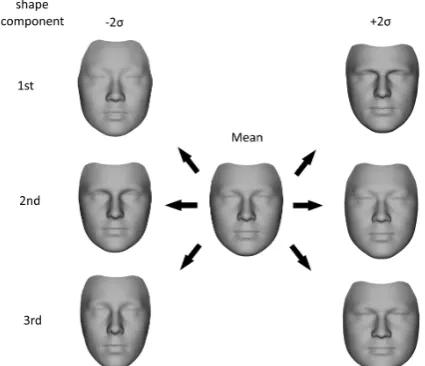 Table 2 shows the three constructed resolution lev-