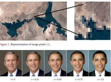Figure 1. Representation of image pixels [2]