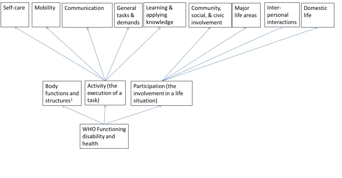 Figure 1. Conceptualisation of social functioning using the ICF as a theoretical framework 