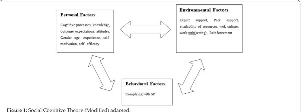 Figure 1: Social Cognitive Theory (Modified) adapted.