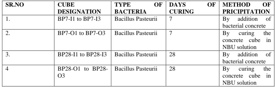 Table No.1: Designation of Bacillus Pasturii concrete cube specimen.  SR.NO  