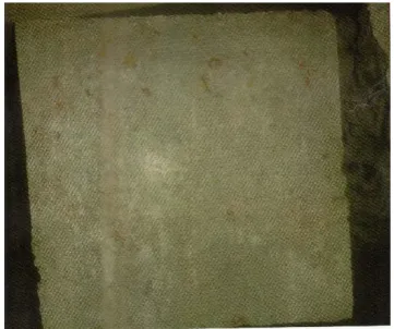 Fig No. 3 Compression Testing Machine. (CTM)        Fig.No 4 Precipitation on Surface of Concrete Cube